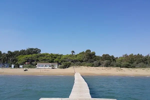 Çukurova Üniversitesi Kamp Alanı - Resim 3