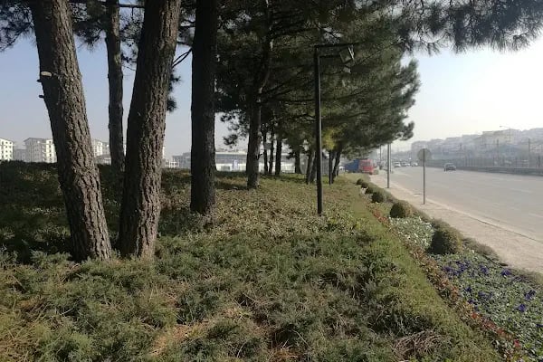 Bursa Ertugrulgazi Vergi Dairesi - Resim 11