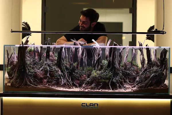 Clan Aquascaping Akvaryum Tasarım - Resim 9