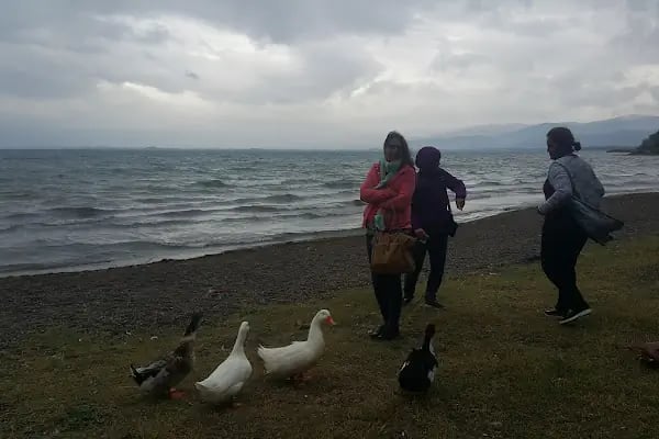 İznik Gölü Kamp Alanı - Resim 18