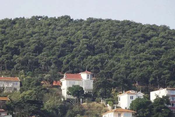 Kuleli Kösk - Resim 3