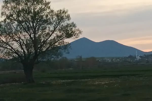 Altaş Köyü Muhtarlığı - Resim 2