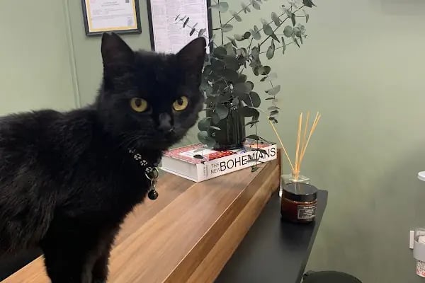 Bohem Veteriner Kliniği - Resim 15
