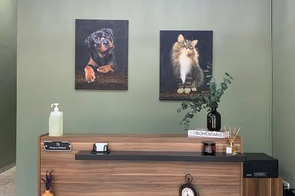 Bohem Veteriner Kliniği - Resim 8