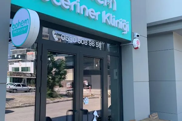 Bohem Veteriner Kliniği - Resim 1