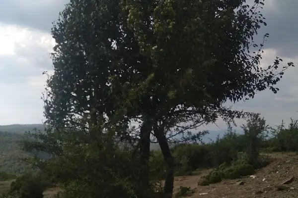 Yeryüzünde bir cennet - Resim 3