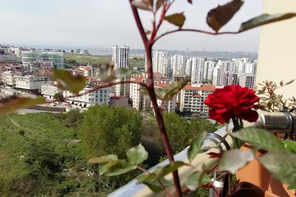 Güneşpark Evleri 2 - Resim 12