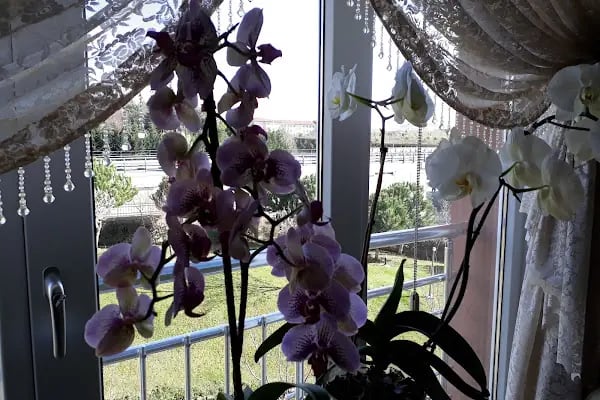 Güneşpark Evleri 2 - Resim 18