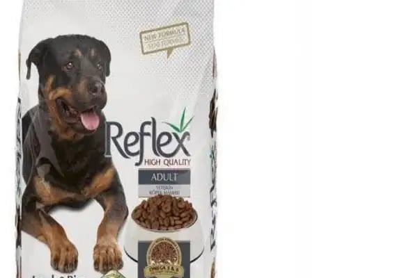 Tahtakale Akvaryum Petshop - Resim 13