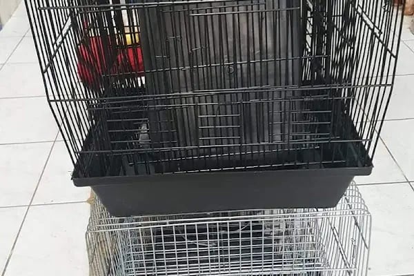 Tahtakale Akvaryum Petshop - Resim 3