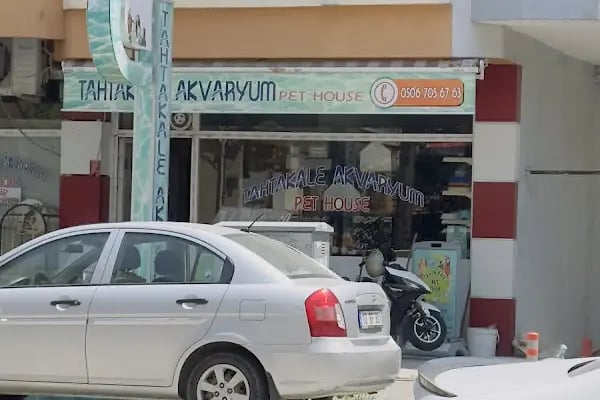 Tahtakale Akvaryum Petshop - Resim 11