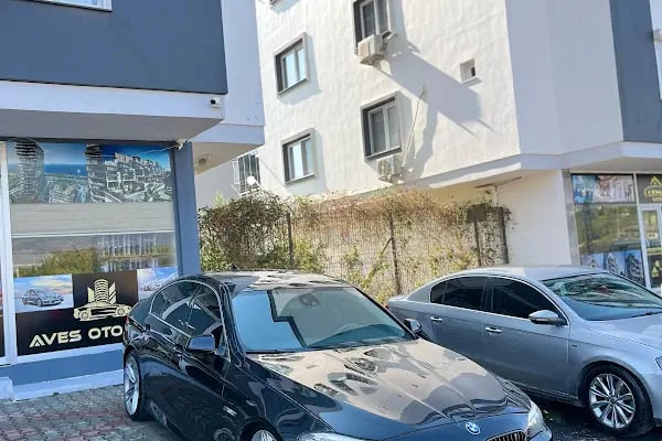 Aves Emin Usta Rent A Car - Resim 6