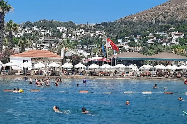 Çıpa Restaurant - Resim 3