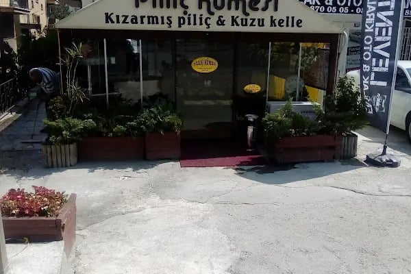 Piliç kümesi - Resim 12