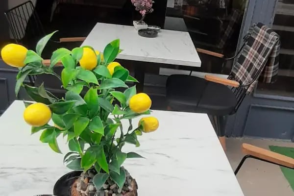Cadde Cafe Gelato - Resim 4