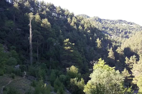 Galgamaç Şelalesi Toprakhisar Kanyonu - Resim 13