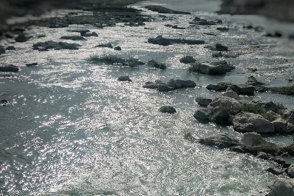 ÇARE VETERİNER KLİNİĞİ - Resim 1