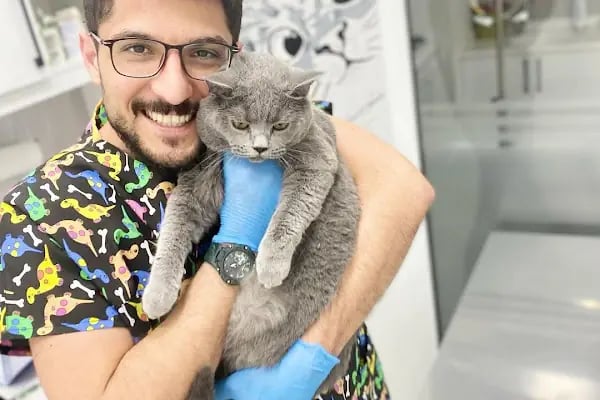 Patikule 7/24 Veteriner Kliniği Bahçeşehir Ispartakule - Resim 9