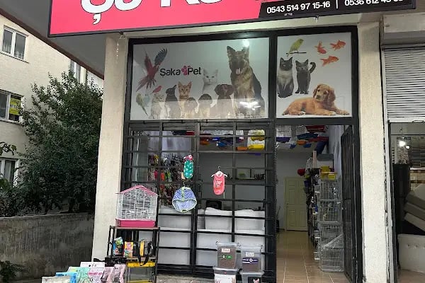 ŞAKA PETSHOP - Resim 1