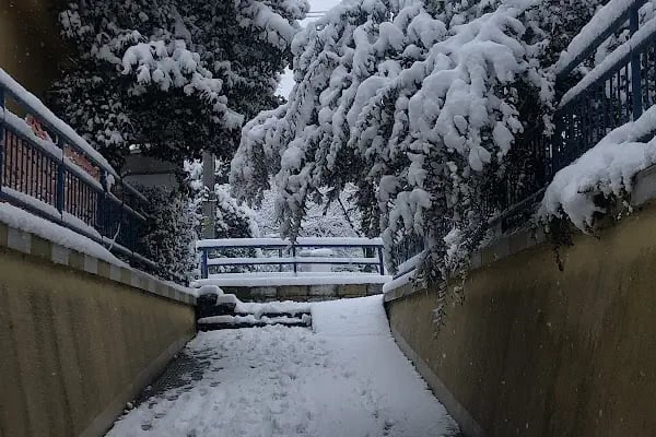 Yarımca Gar - Resim 14