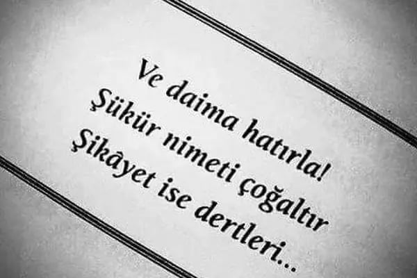 Samsunlu Kardeşler Pide - Resim 5