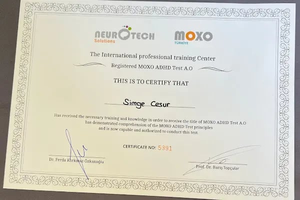 Bursa Uzman Klinik Psikolog Simge Cesur - Resim 14