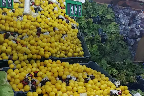 Gazi Gıda - Resim 18