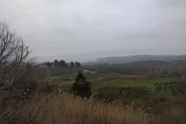 Taç Otel - Resim 8