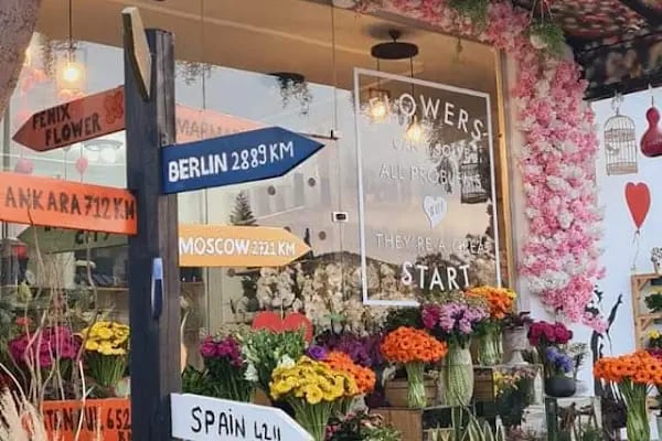 Fenix Flower Bodrum / Bodrum Çicek - Resim 2