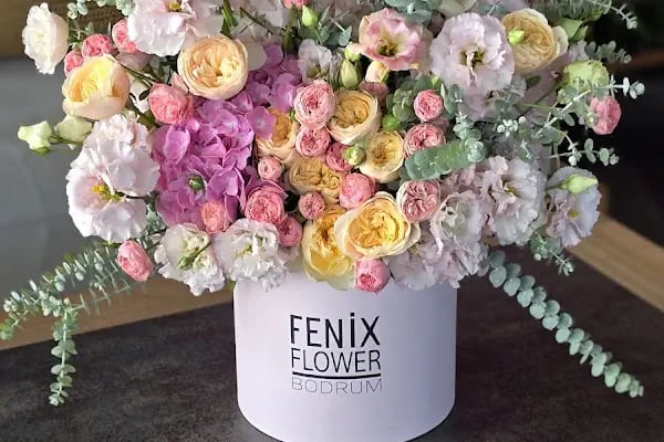 Fenix Flower Bodrum / Bodrum Çicek - Resim 3