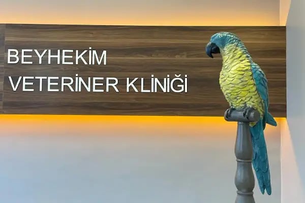 Beyhekim Veteriner Kliniği - Resim 19