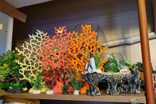 Acar Petshop ✅️ - Resim 18