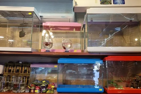 Acar Petshop ✅️ - Resim 6