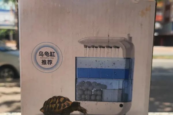 Acar Petshop ✅️ - Resim 4