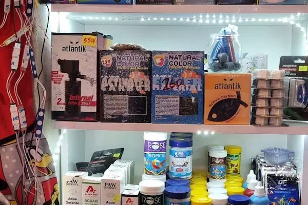 Acar Petshop ✅️ - Resim 15