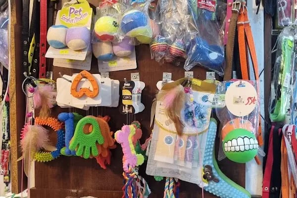 Acar Petshop ✅️ - Resim 8