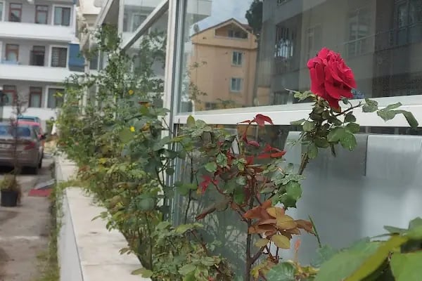 Melin otel - Resim 20