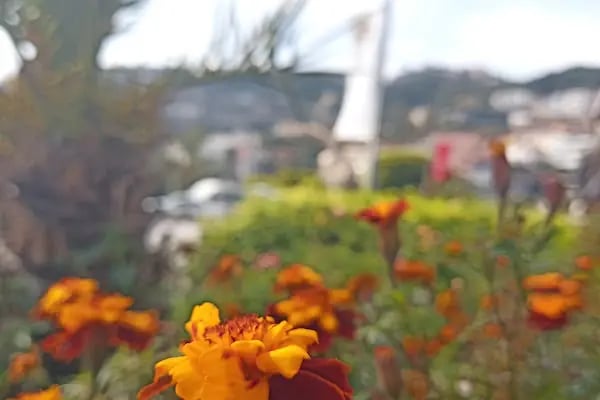 İskele - Resim 20