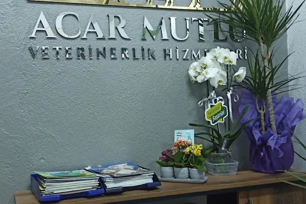 HAMARAT VETERİNER KLİNİĞİ - Resim 14