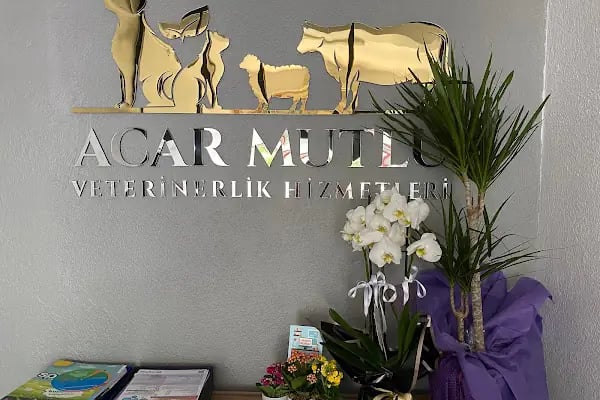 HAMARAT VETERİNER KLİNİĞİ - Resim 3
