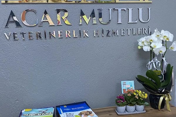 HAMARAT VETERİNER KLİNİĞİ - Resim 10