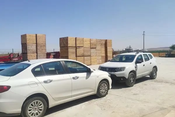 ÖZTAR TOHUMCULUK, PATATES TOHUM DEPOSU - Resim 1