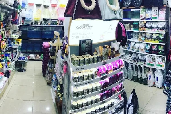 Aynalı Petshop - Resim 4