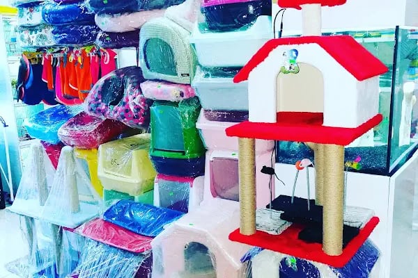 Aynalı Petshop - Resim 5