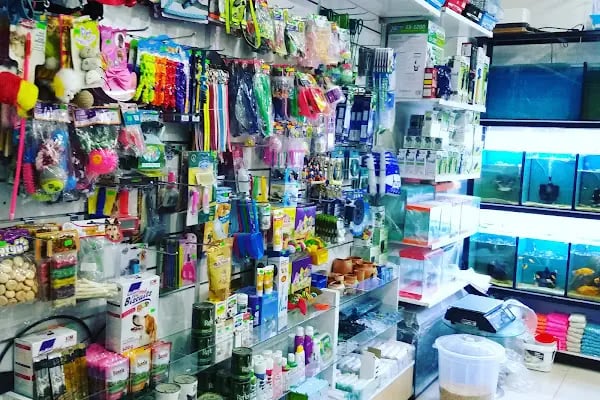 Aynalı Petshop - Resim 14