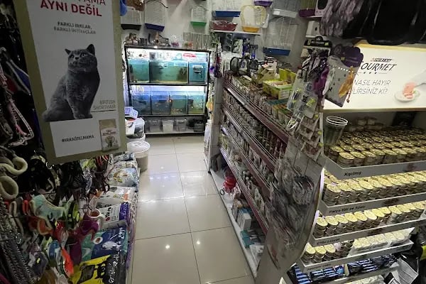 Aynalı Petshop - Resim 10