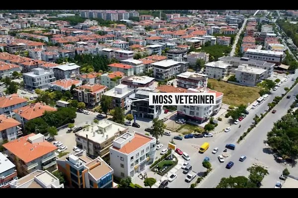 MOSS VETERİNER KLİNİĞİ - Resim 15