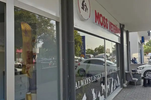 MOSS VETERİNER KLİNİĞİ - Resim 13