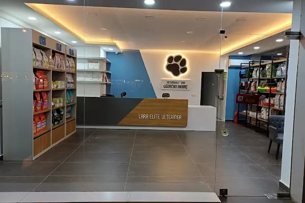 Lara Elite Veteriner Kliniği - Antalya Nöbetçi Veteriner - Ветеринарная клиника - Resim 7
