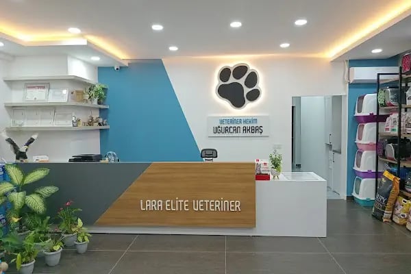 Lara Elite Veteriner Kliniği - Antalya Nöbetçi Veteriner - Ветеринарная клиника - Resim 14